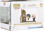 Harry Potter and Albus Dumbledore with The Mirror Erised #145