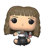 Harry Potter - Hermione Granger #80