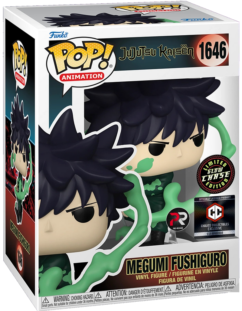 Jujutsu Kaisen - Megumi Fushiguro (GITD CHASE) #1646
