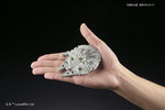 Star Wars Millennium Falcon 1:350 Scale Model Kit